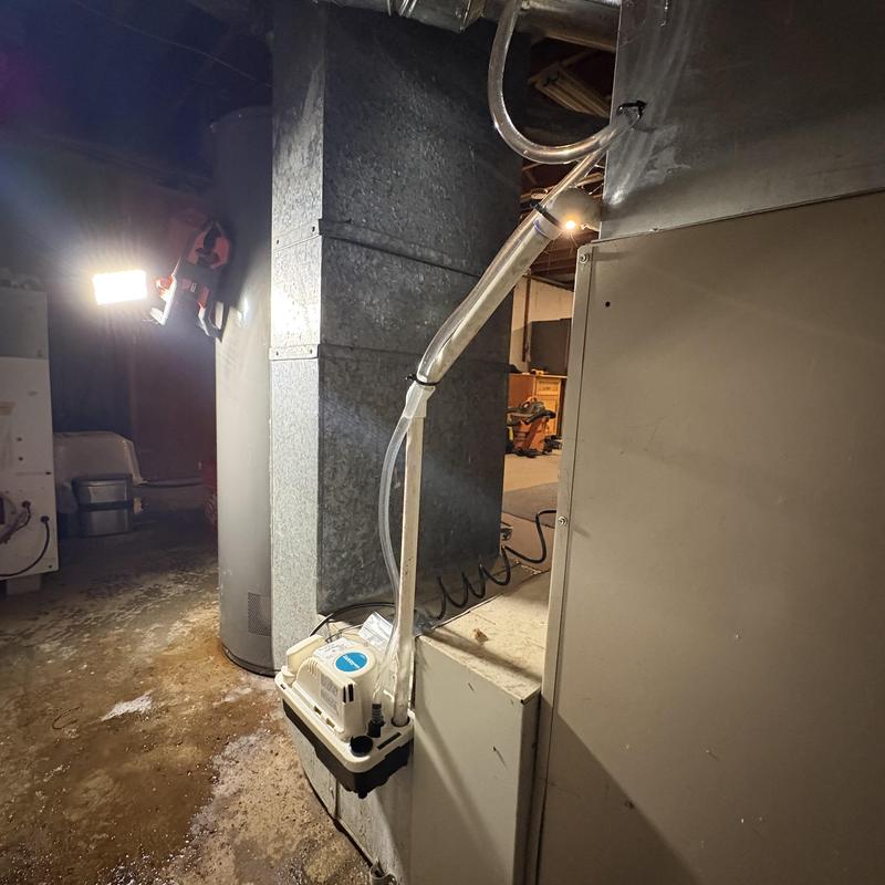 Condensate pump replacement and re-piping in basement Condensate pump replacement and re-piping in basement