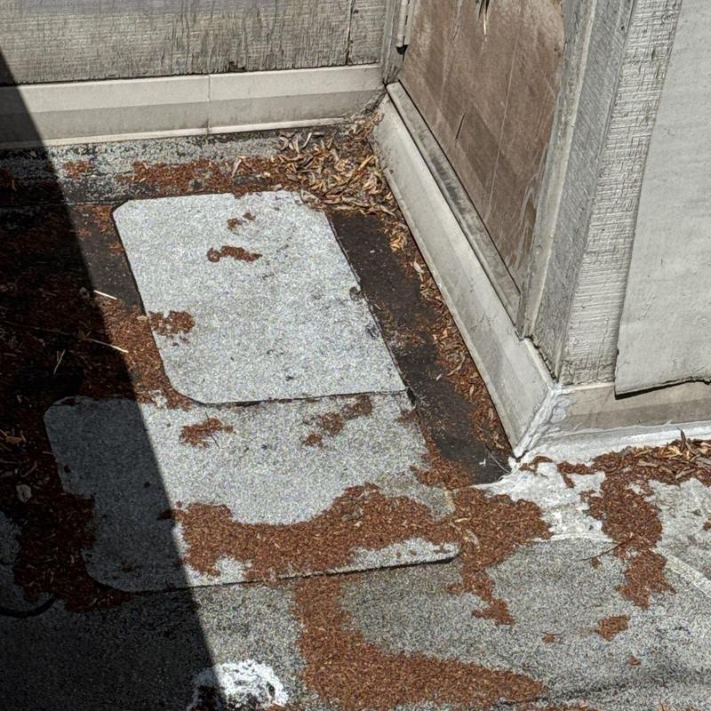 Flat roof patching with debris around corner base molding Flat roof patching with debris around corner base molding