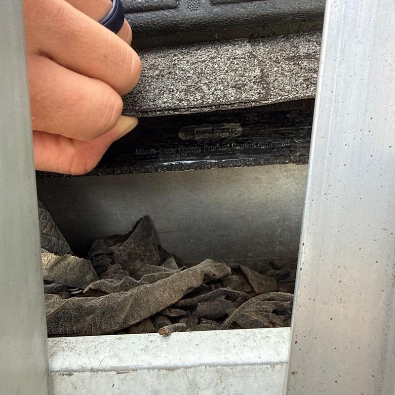 Roof shingles inspection showing lifted shingle edge and debris