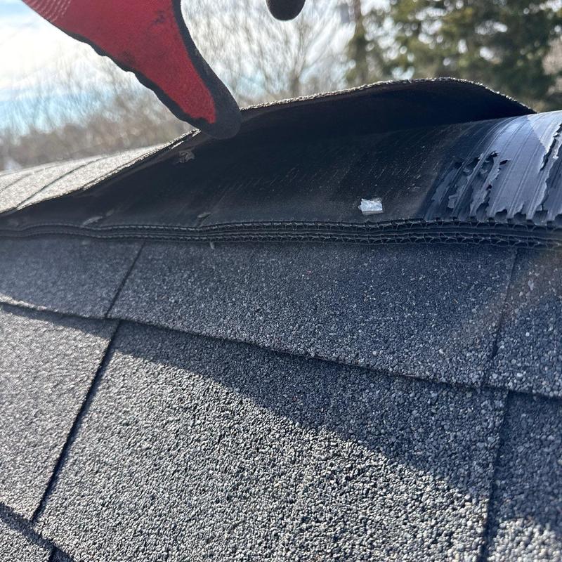 Roofing underlayment lifted over asphalt shingles