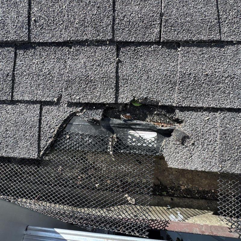 Roof shingles with hail damage and torn mesh screen