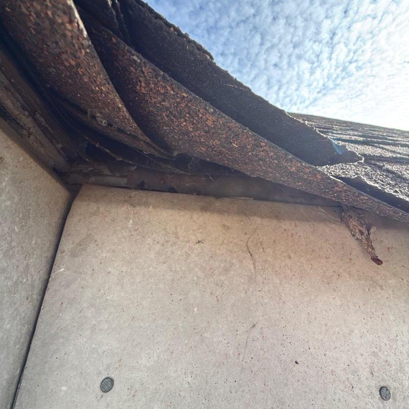 Asphalt shingles curling and lifting on roof edge