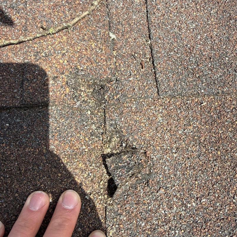 Asphalt roofing shingle with hail damage and granule loss