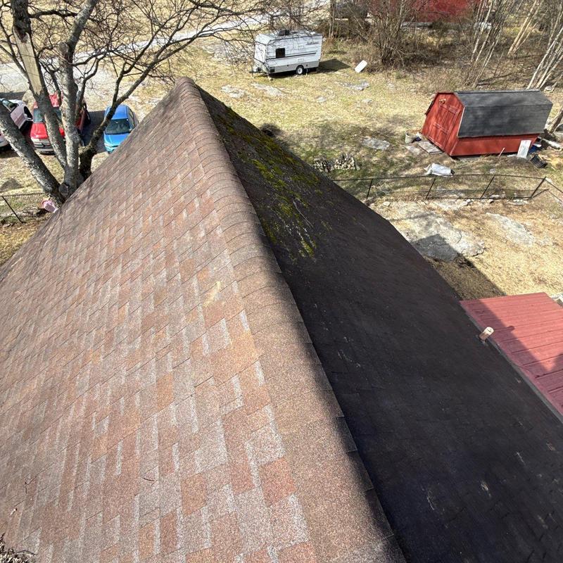 Asphalt shingle roof with moss and weathering signs