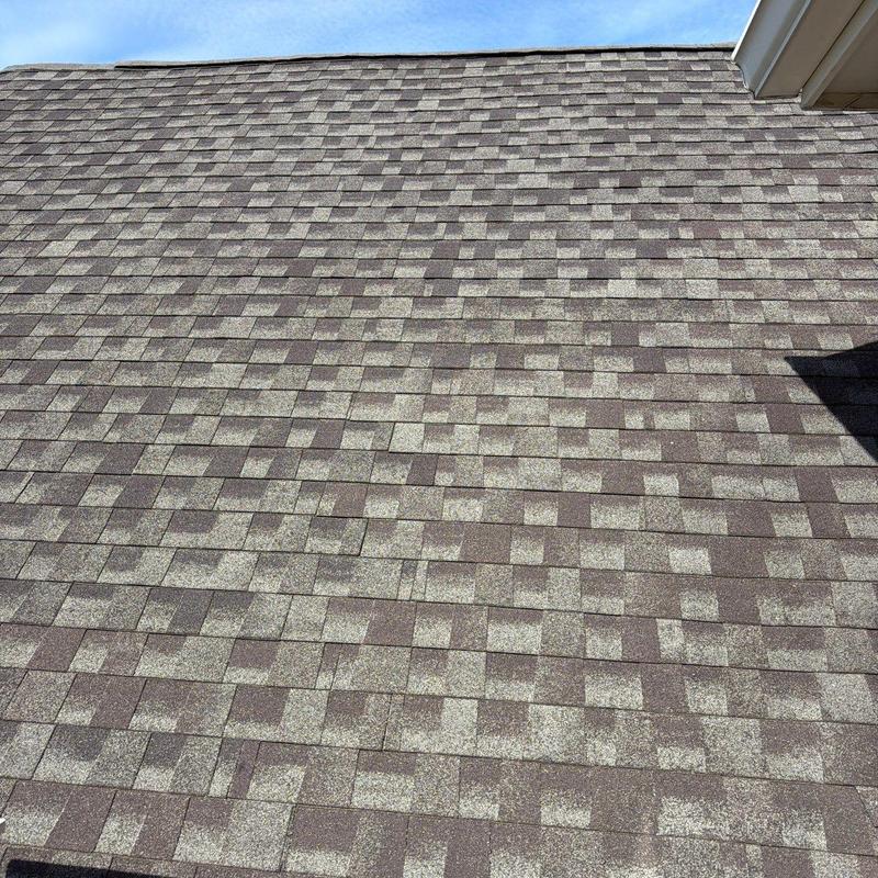 Asphalt roofing shingles with hail damage in Brentwood