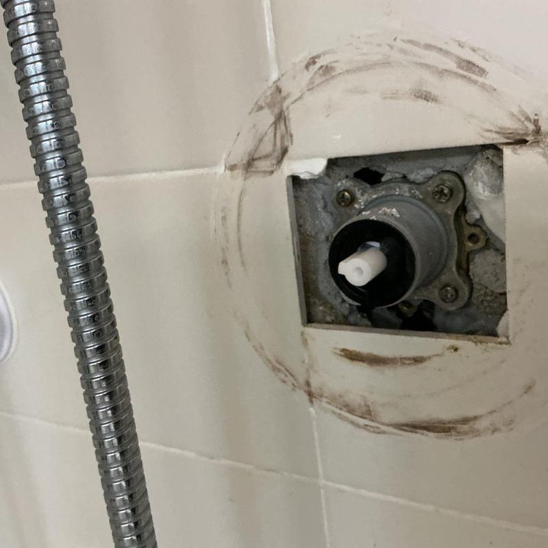 Shower cartridge valve removed from wall mount