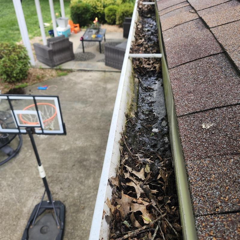 Gutter filled with leaves and debris along roof edge