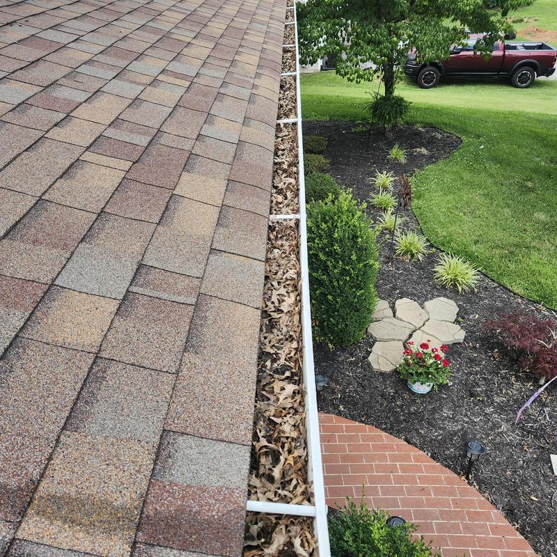 Gutters filled with leaves beside shingled roof and yard