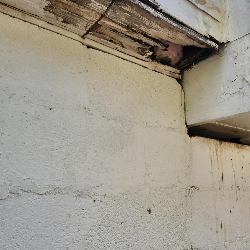 Wood fascia with water damage and rot decay