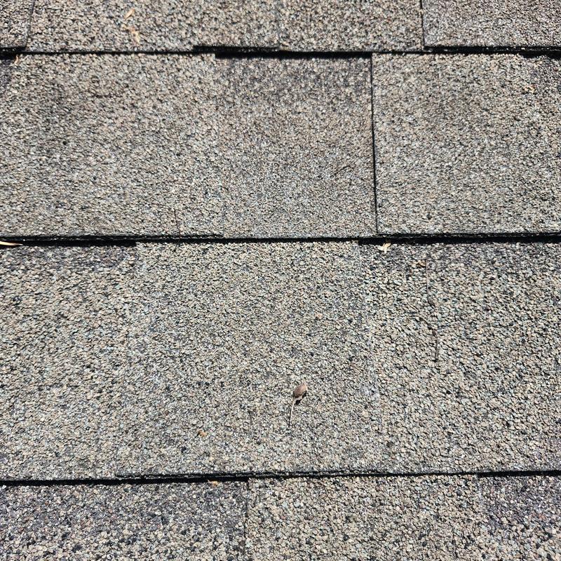 Asphalt shingle roof with minor granule loss close-up