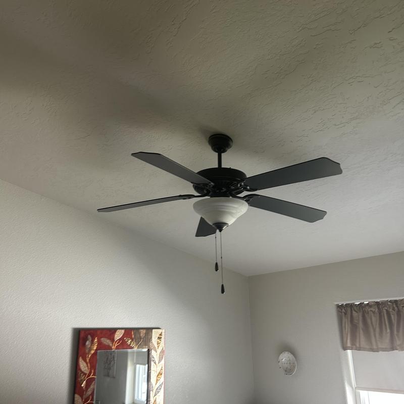 Ceiling fan with light fixture installed in room