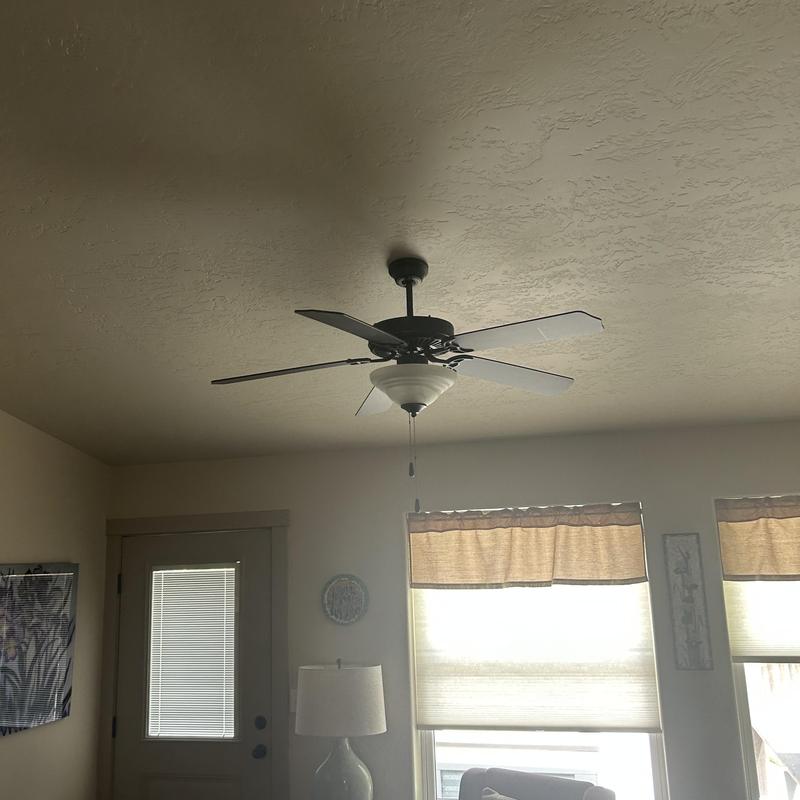Ceiling fan with light fixture installed in living room