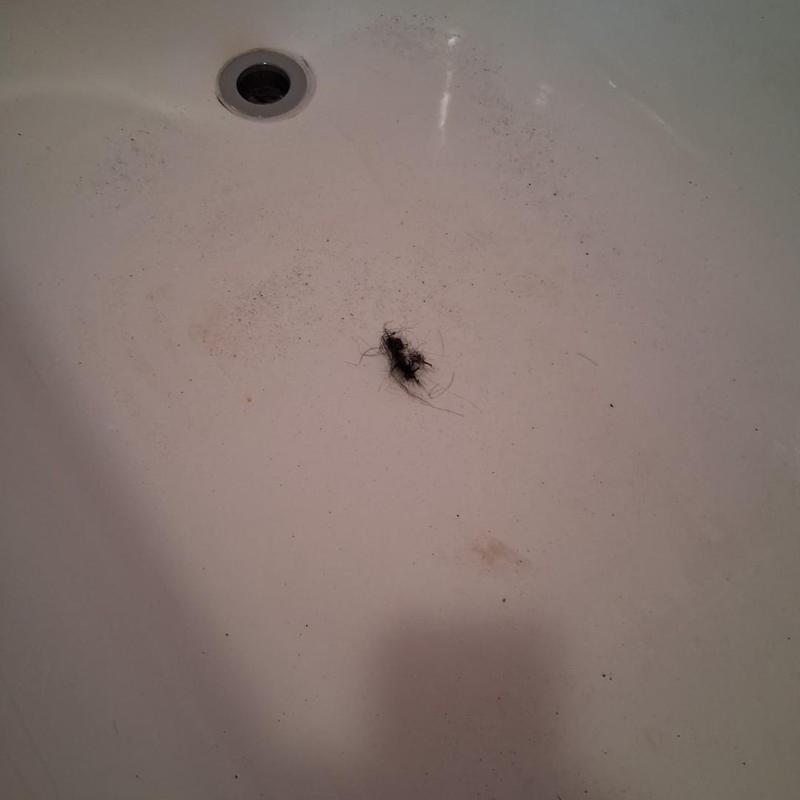 Tub drain with hair clog and debris