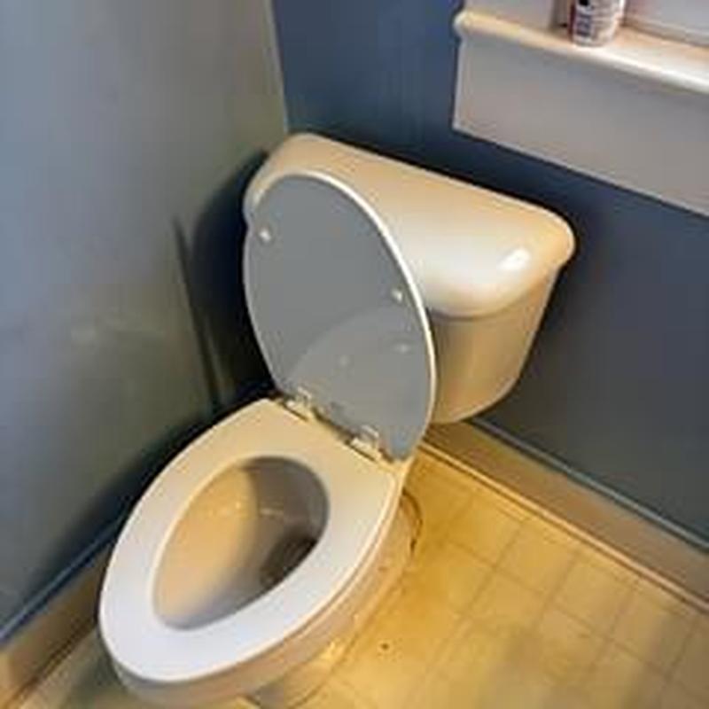 Elongated toilet standard height installed in bathroom