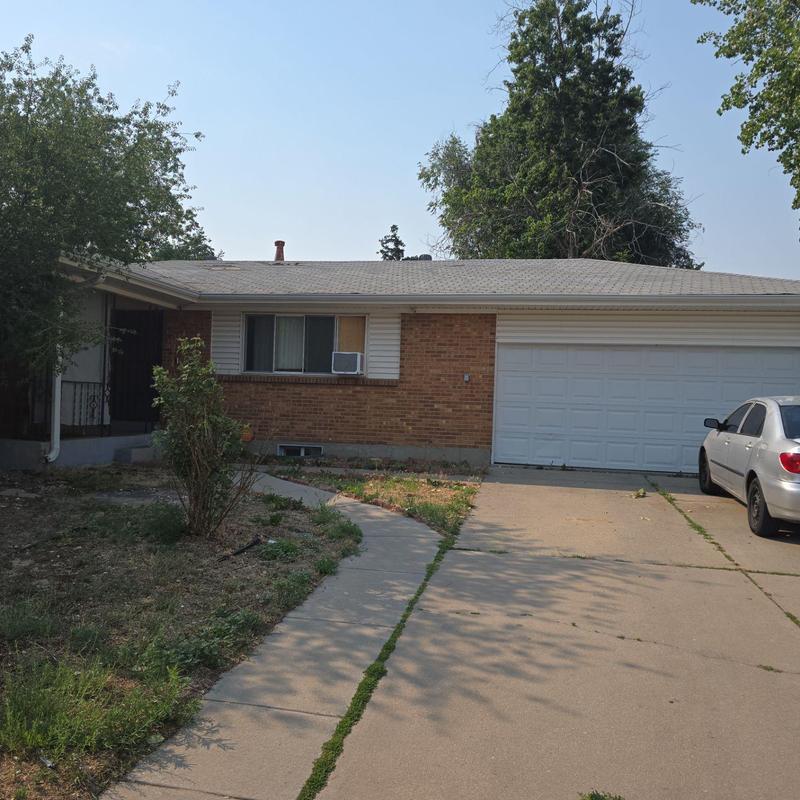 Asphalt shingle roof with minor hail and wind damage Asphalt shingle roof with minor hail and wind damage