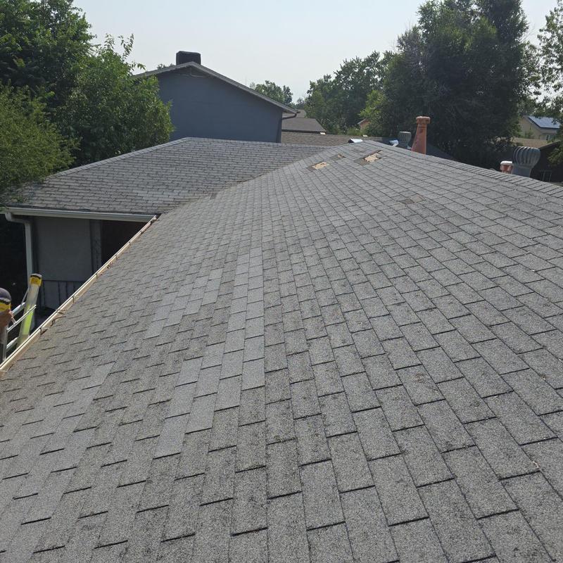 Roof shingles with minor wind and hail damage Roof shingles with minor wind and hail damage