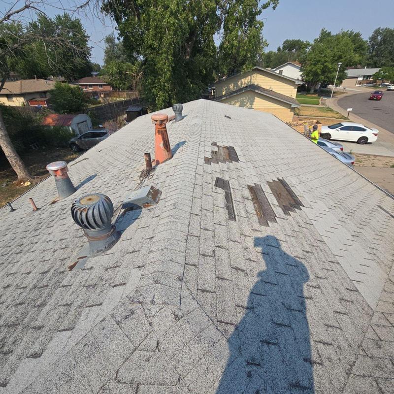 Asphalt shingle roof with wind and hail damage patches Asphalt shingle roof with wind and hail damage patches