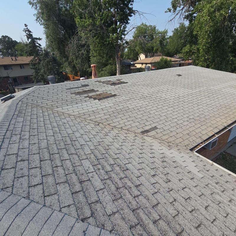 Asphalt shingle roof with minor hail and wind damage Asphalt shingle roof with minor hail and wind damage