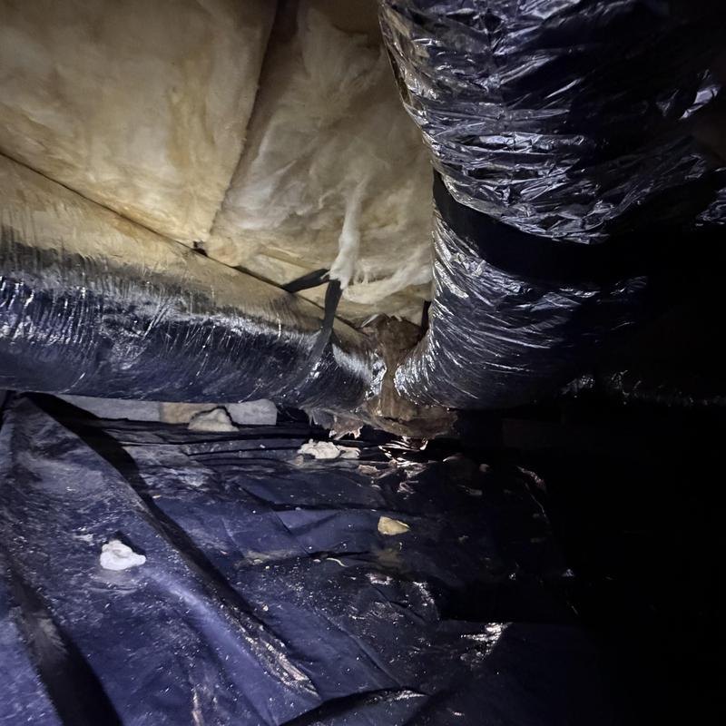 Ductwork with wet insulation in crawlspace Ductwork with wet insulation in crawlspace