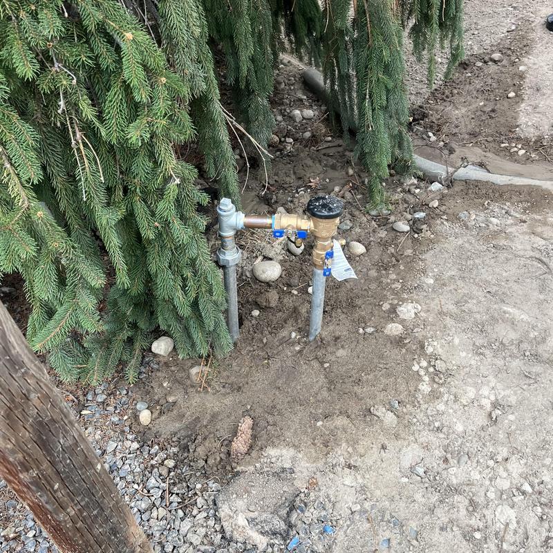 Backflow assembly with valves near evergreen tree outdoors Backflow assembly with valves near evergreen tree outdoors