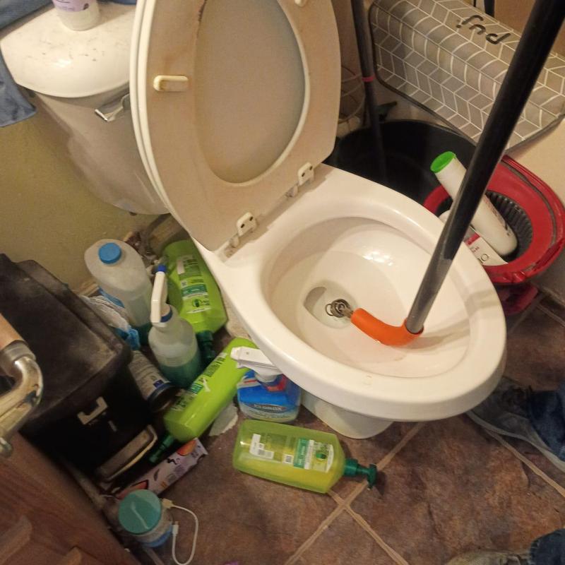 Toilet with plunger removing toys blockage Toilet with plunger removing toys blockage