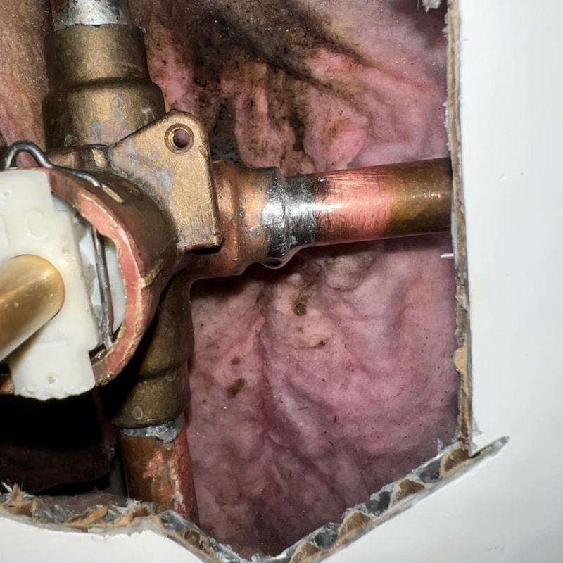 Moen Posi-Temp valve with soldered copper pipe joint Moen Posi-Temp valve with soldered copper pipe joint