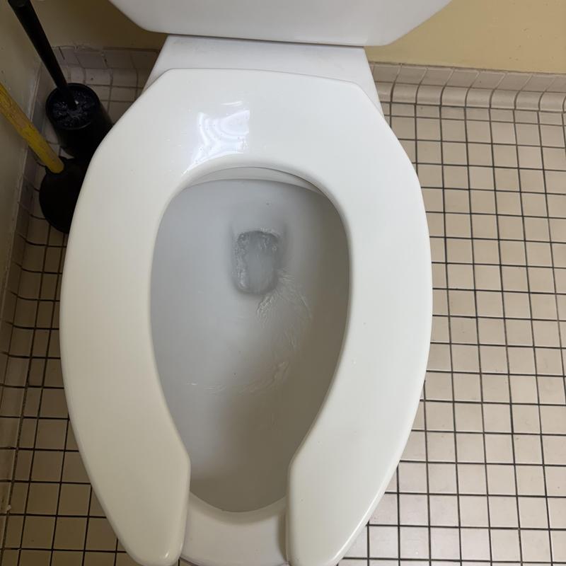 Toilet bowl and seat with beige tiled floor Toilet bowl and seat with beige tiled floor