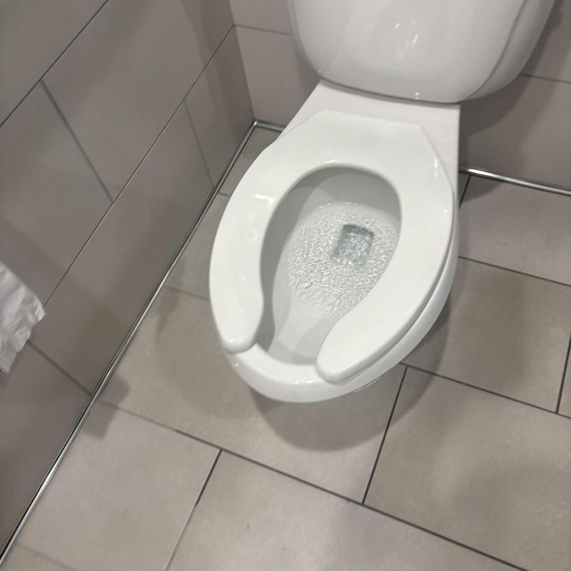 Toilet bowl with slow urinal drain cleaning in progress