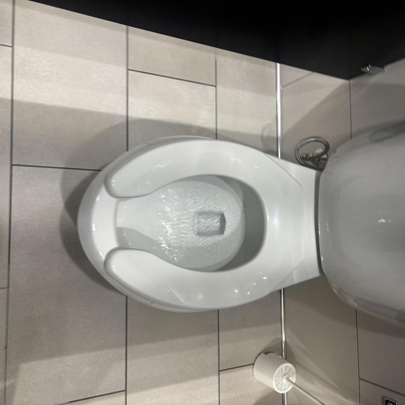 Toilet bowl with slow drainage on tiled floor