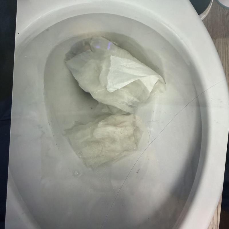 Toilet bowl with tissue clog and standing water