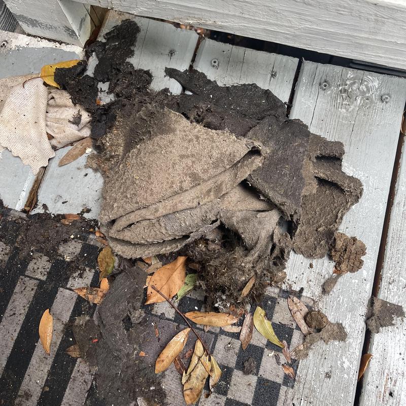 Condenser coil debris and dirt removed on deck