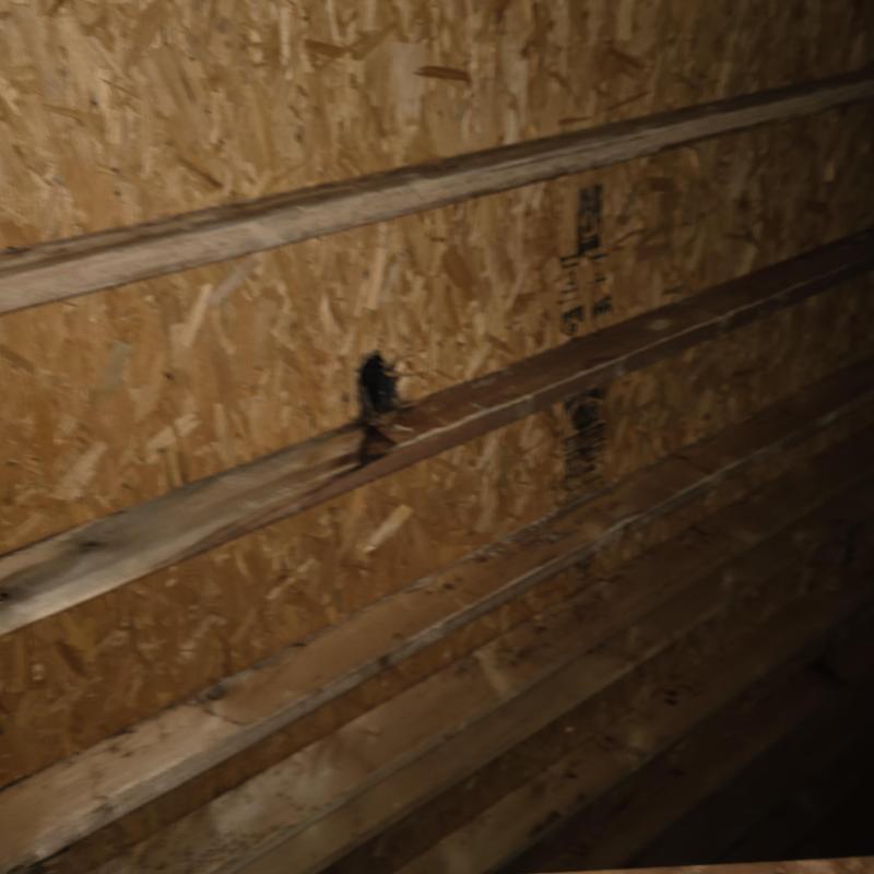 Roof sheathing with dry rot damage and hole near wall