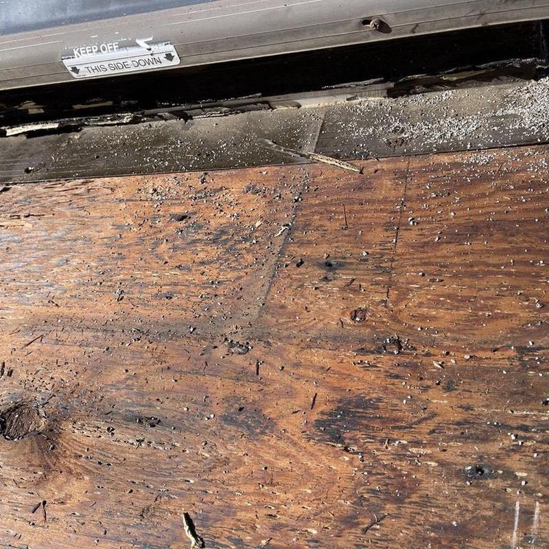 Skylight frame and worn plywood roof decking close-up
