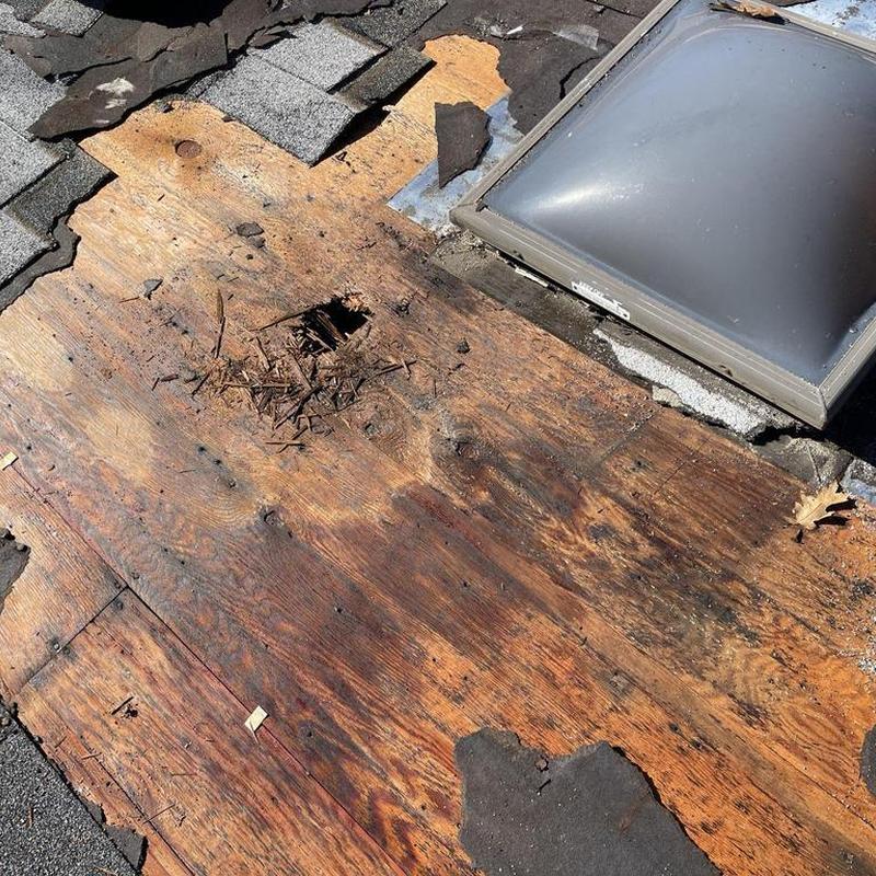 Skylight wood decking damage and roof shingles removal