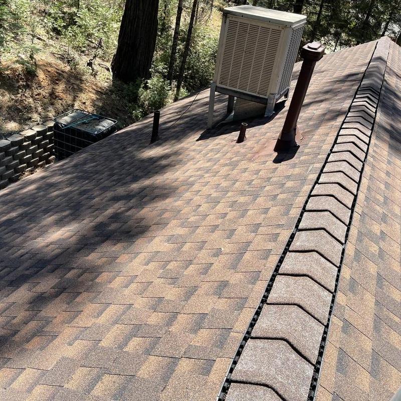Asphalt shingle roof with ridge vent and roof vents