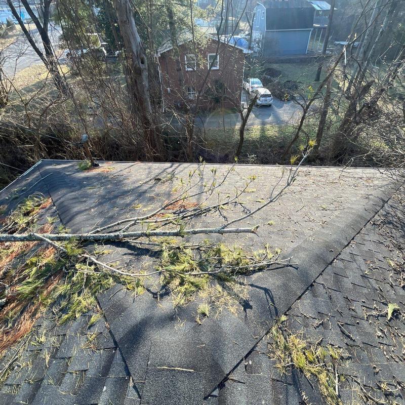Asphalt shingle roof with branch debris and pine needles