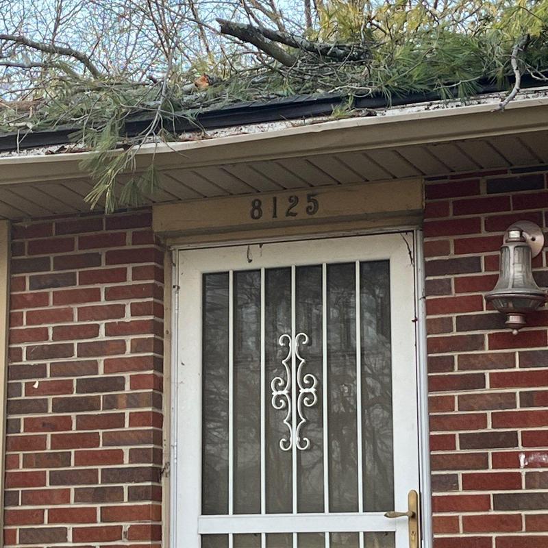 Screen door with decorative metal bars and brass handle