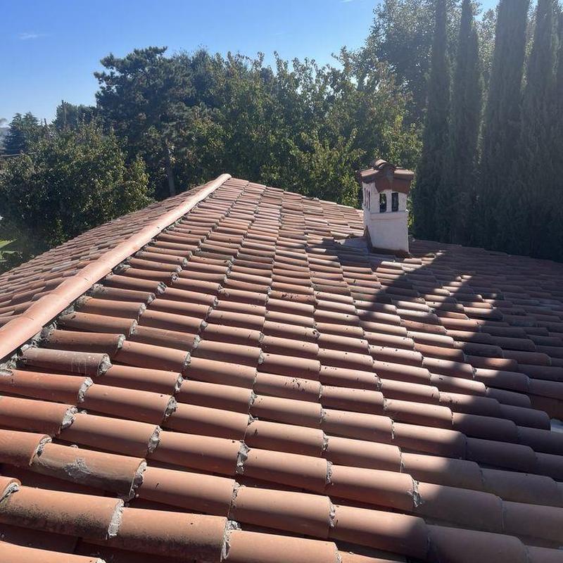 Tile roof overview with chimney and tree shadows Tile roof overview with chimney and tree shadows