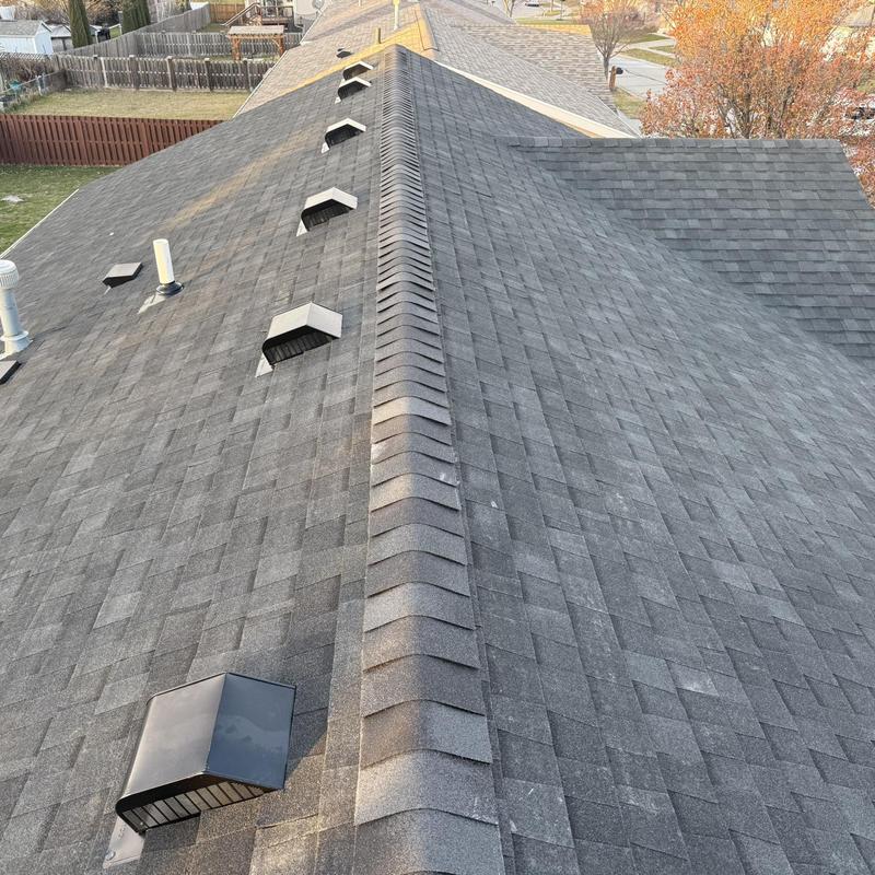 Tamko Stormfighter Flex impact-resistant shingles roof Tamko Stormfighter Flex impact-resistant shingles roof
