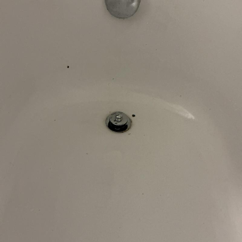 Bathtub drain assembly showing worn or faulty tub shoe