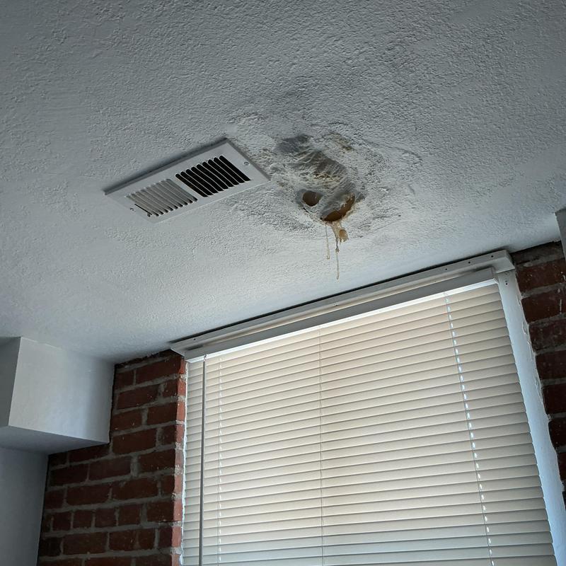 Ceiling water damage from leaking tub shoe above