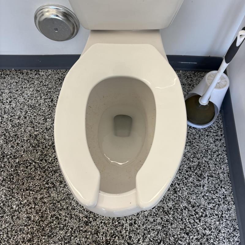 Toilet bowl and seat with plunger on speckled floor Toilet bowl and seat with plunger on speckled floor