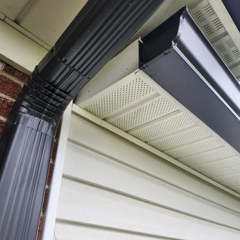 Soffit with bird damage near gutter downspout