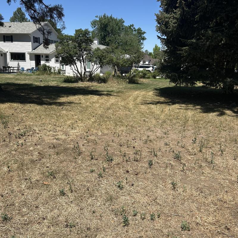 Pump circuitry troubleshooting in residential yard Boise ID Pump circuitry troubleshooting in residential yard Boise ID