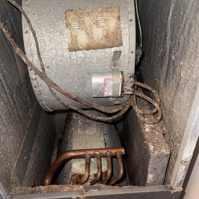 Evaporator coil and blower wheel with growth buildup