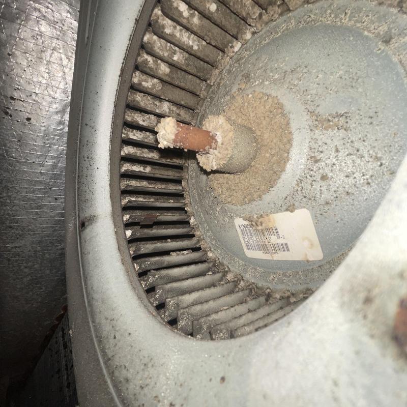 Blower wheel with buildup and debris inside air handler