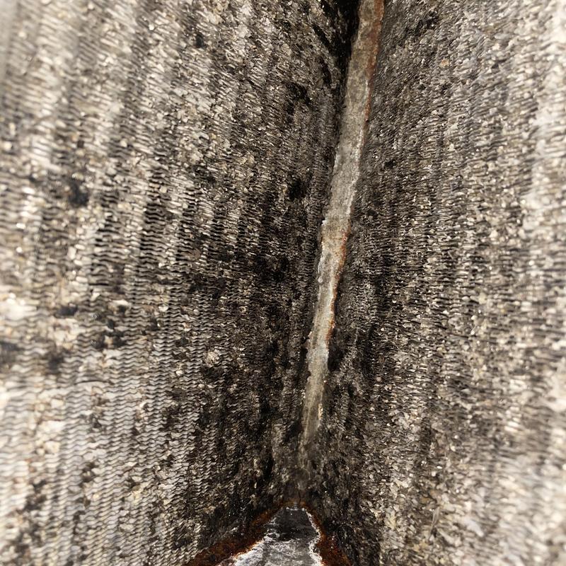 Evaporator coil covered in black mold growth