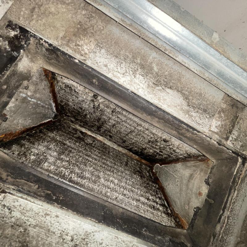 Evaporator coil and air handler mold growth inspection