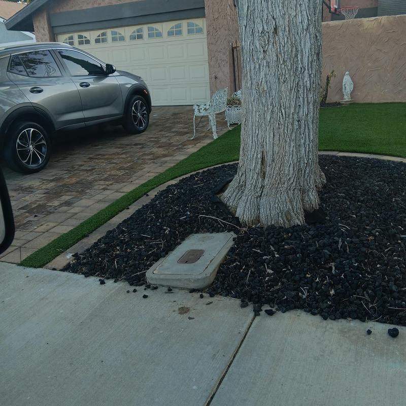 Irrigation valve box near tree with black mulch