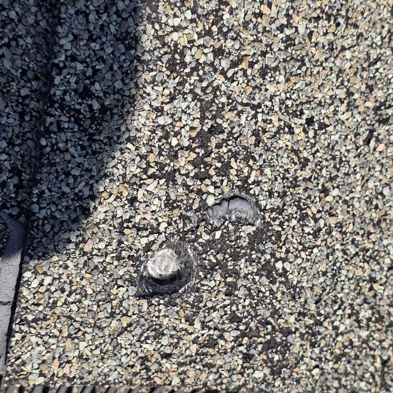 Roof granule loss on asphalt shingle surface close-up